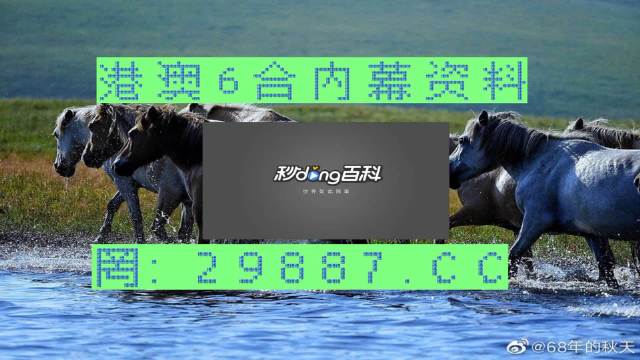 2024澳门买马最准网站,专业研究解析说明_超值版94.864