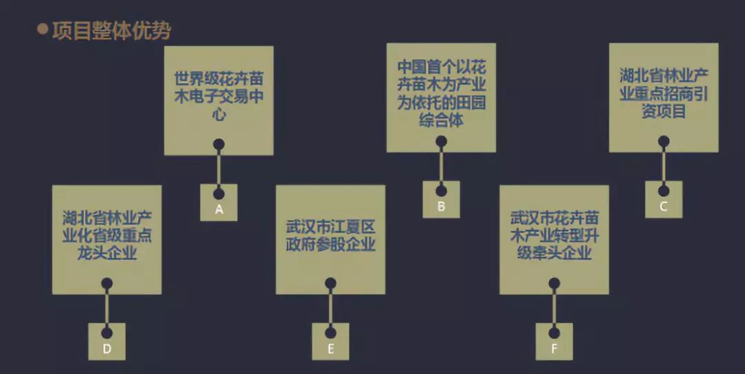 2024年新奥免费资料大全,可持续发展实施探索_战略版37.124