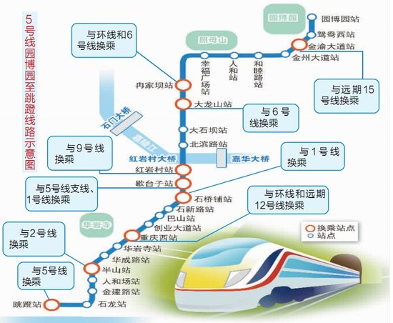 轻轨5号线最新动态，进展、影响与展望