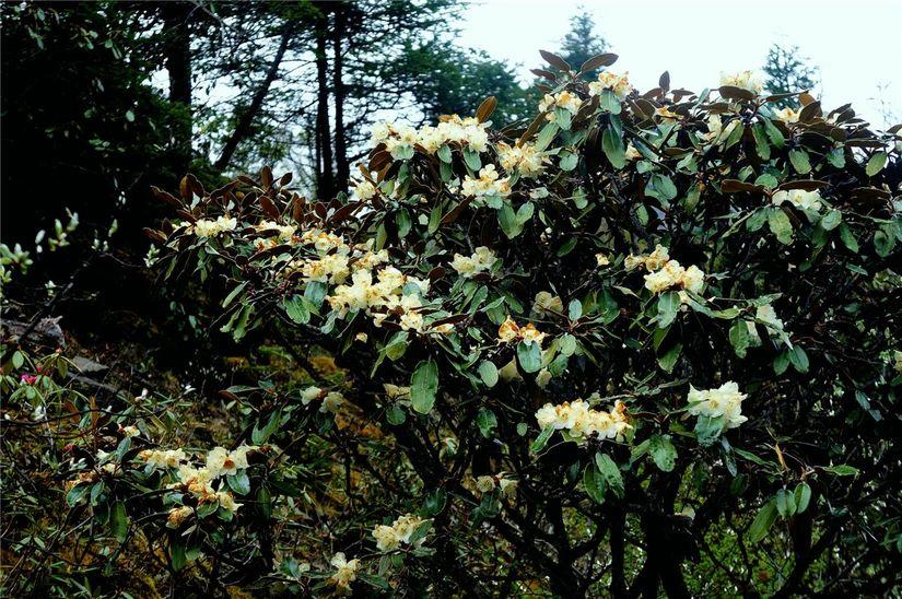 山间老寺，历史与现代的交融，最新风貌展现